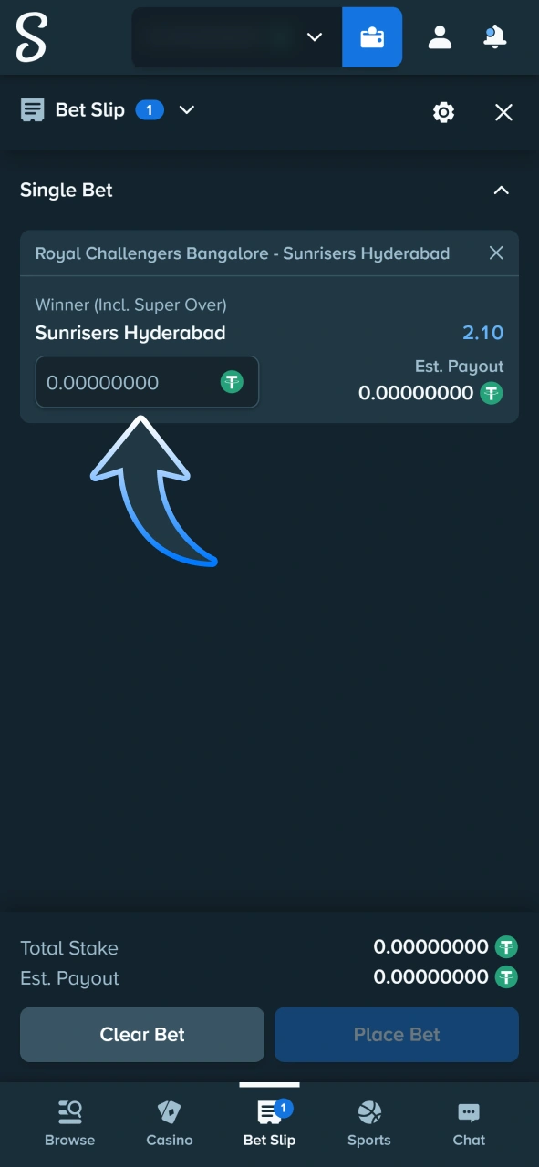 Enter your cricket bet amount and confirm it at Stake sportsbook.