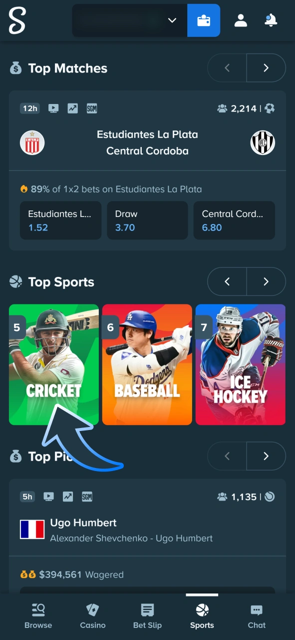 Find cricket at Stake sportsbook to bet on matches.